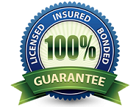 Mold removal company in Fort Myers, Florida licensed, bonded, and insured.